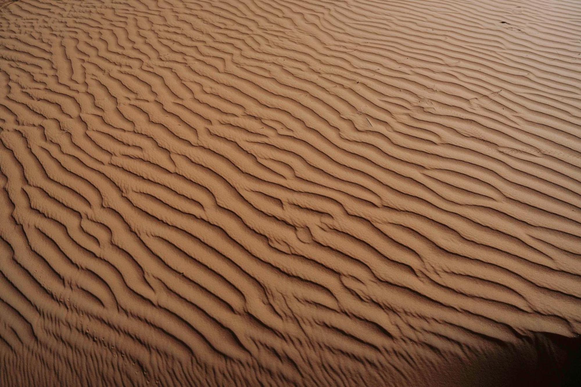 Silent Dunes Camp Hawiyah